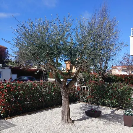 Lejlighed Casa Dell'ulivo A *