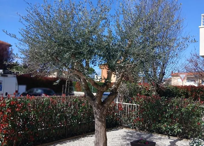 Apartmán Casa Dell'ulivo A *